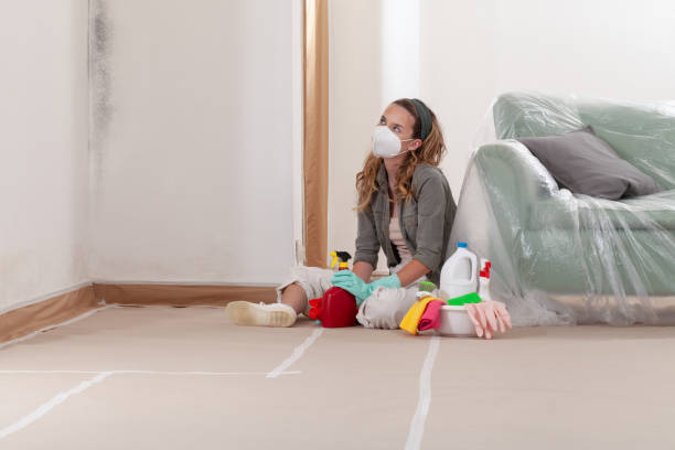Reliable Mold Cleanup contractor in Olivia, NC by Cheap Mold Removal